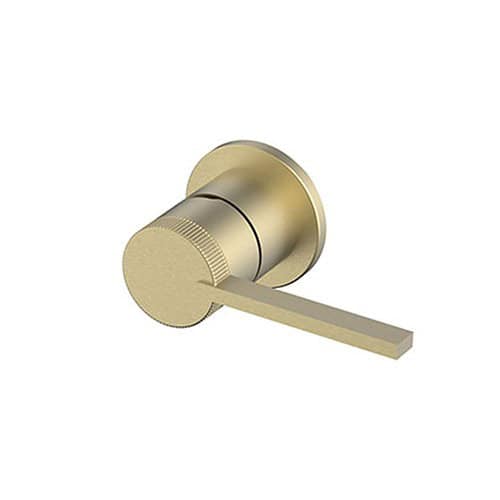 Brushed gold wall mounted bath taps with 2 handles